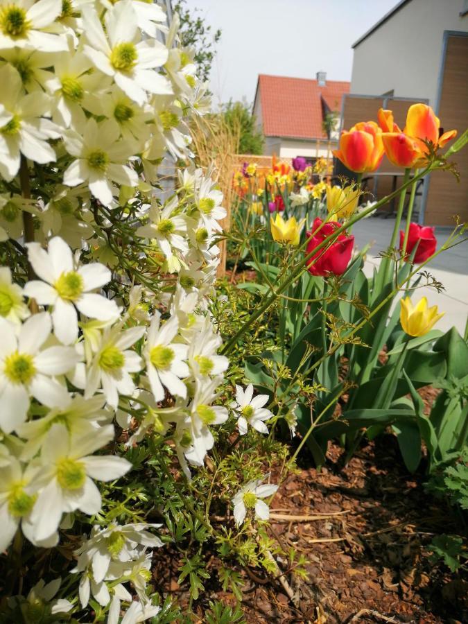 Inhouse - Wohnen Auf Zeit Aparthotel Ingolstadt Buitenkant foto